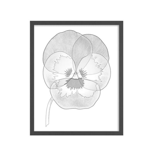 X-Ray Nature Series Framed Nature Art Print 22 in. x 18 in.